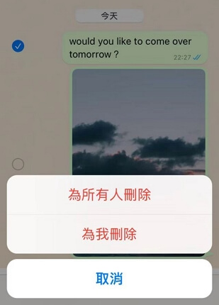 在WhatsApp上刪除訊息