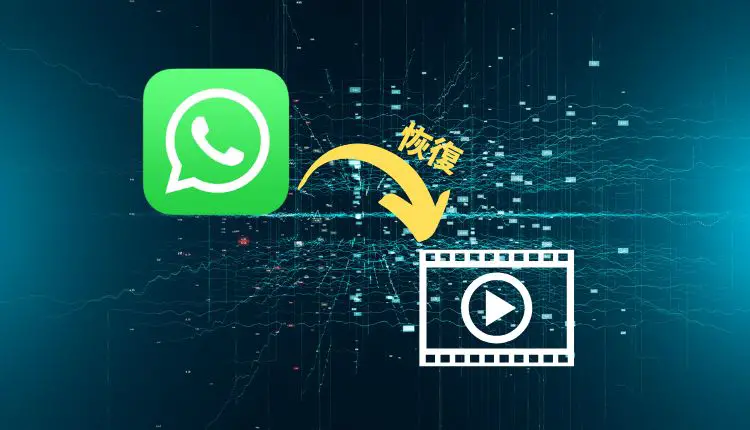 恢復WhatsApp刪除的影片